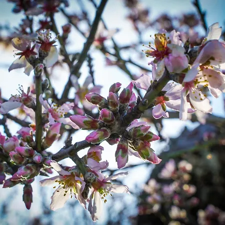 Casa Dr Ramiro Salgado * Torre De Moncorvo