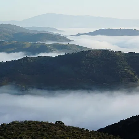 Lejlighed Casa Dr Ramiro Salgado - Douro Superior,